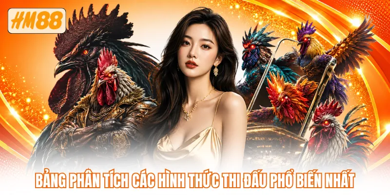 Bảng phân tích các hình thức thi đấu phổ biến nhất Bảng phân tích các hình thức thi đấu phổ biến nhất