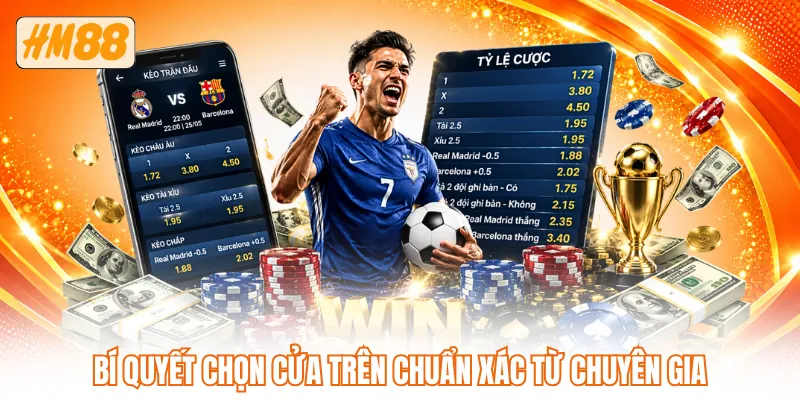 Bí quyết chọn cửa trên chuẩn xác từ chuyên gia Bí quyết chọn cửa trên chuẩn xác từ chuyên gia