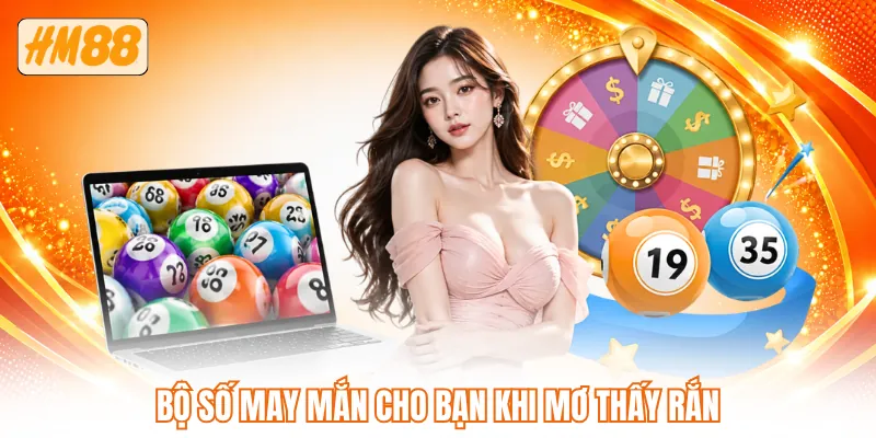 Bộ số may mắn cho bạn khi mơ thấy rắn Bộ số may mắn cho bạn khi mơ thấy rắn