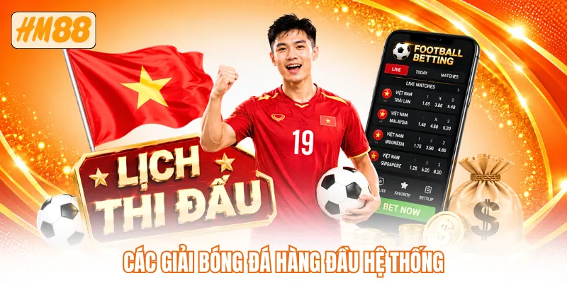 Các giải bóng đá hàng đầu hệ thống