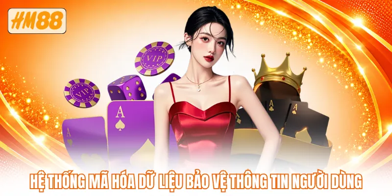 Hệ thống mã hóa dữ liệu bảo vệ thông tin người dùng